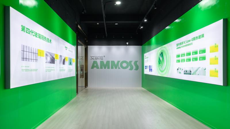 AMMOSS Showroom